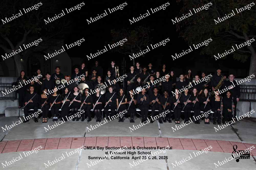 Musical Images